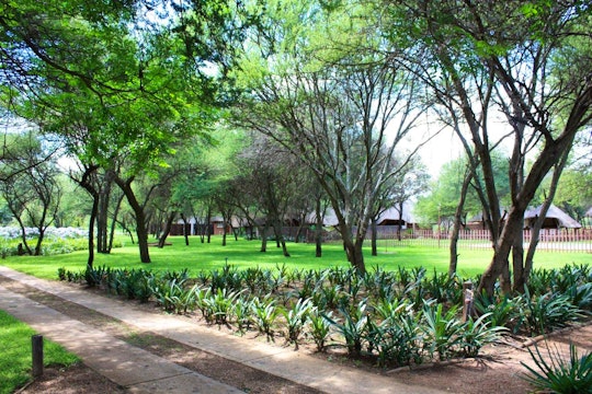 Limpopo Accommodation at  | Viya