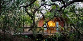 North Coast Accommodation at Hluhluwe River Lodge | Viya