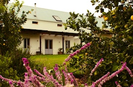 Boland Accommodation at  | Viya