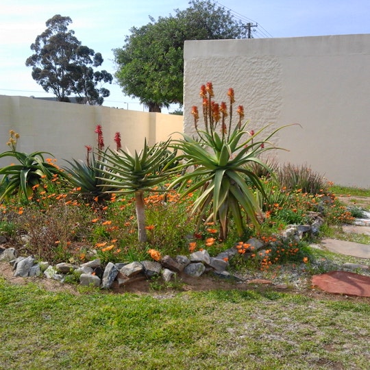 Western Cape Accommodation at  | Viya