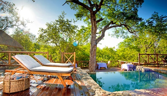 Kruger National Park South Accommodation at  | Viya