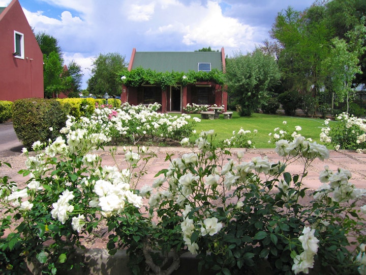 Karoo Accommodation at Beaufort Manor Country House | Viya