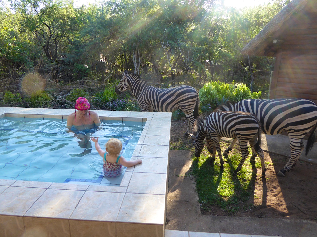 Kruger National Park South Accommodation at  | Viya