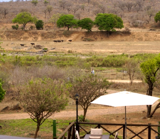 Kruger National Park South Accommodation at  | Viya