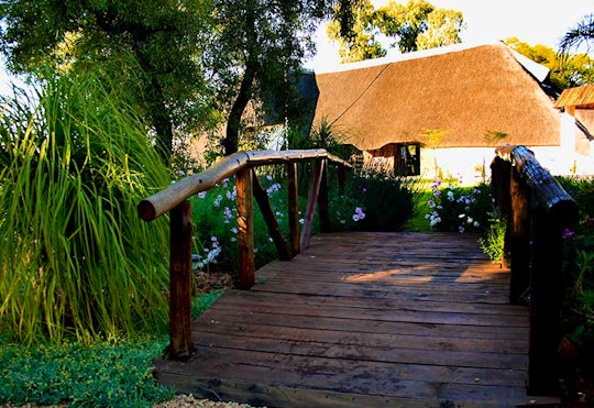 Dinokeng Game Reserve Accommodation at  | Viya