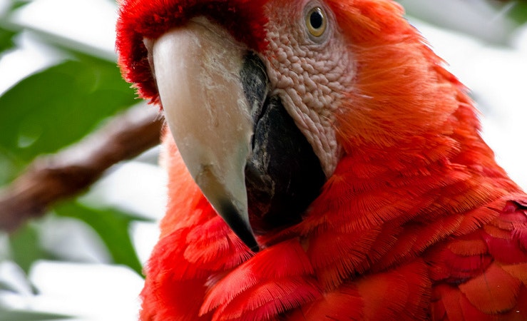 World Of Birds Wildlife Sanctuary And Monkey Park