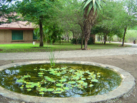 Kruger National Park South Accommodation at  | Viya