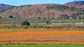 Northern Cape Accommodation at Pedroskloof Farm Accommodation | Viya