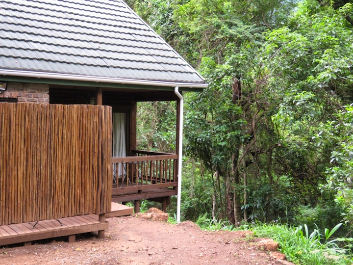 Lowveld Accommodation at Forest Bird Lodge | Viya