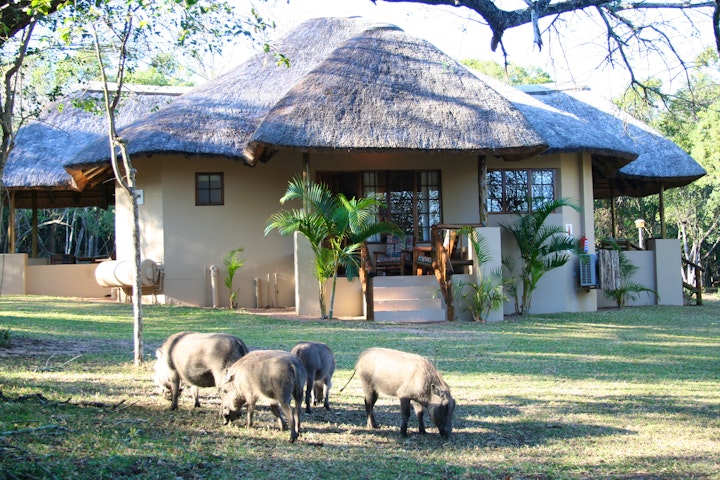 KwaZulu-Natal Accommodation at Bonamanzi Game Reserve - Lalapanzi | Viya