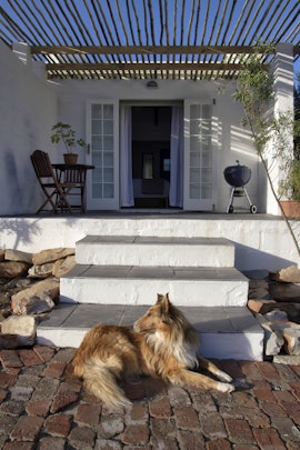 Cape Winelands Accommodation at  | Viya