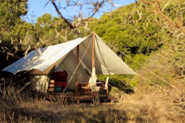 Eastern Cape Accommodation at  | Viya