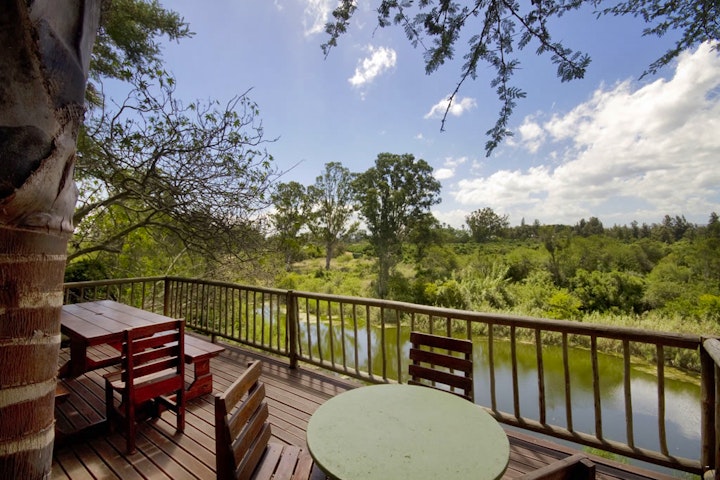 Sarah Baartman District Accommodation at Avoca River Cabins | Viya