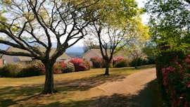 Panorama Route Accommodation at Kloofsig Holiday Cottages | Viya