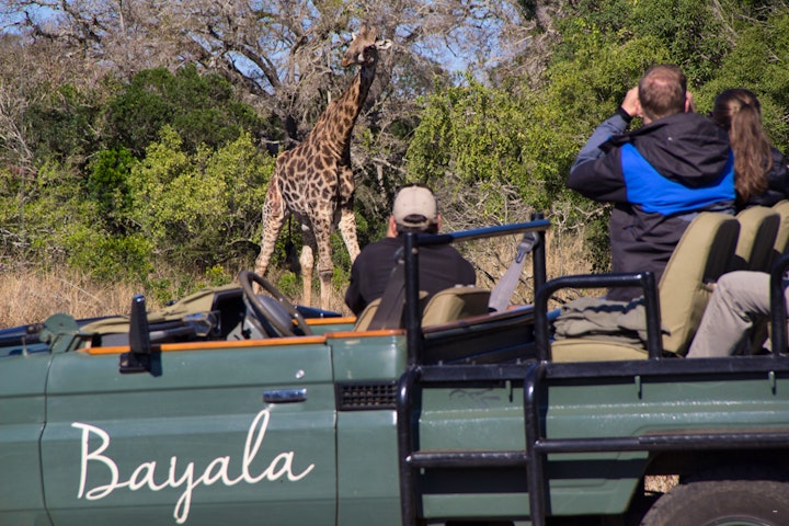 KwaZulu-Natal Accommodation at Bayala Private Safari Lodges | Viya