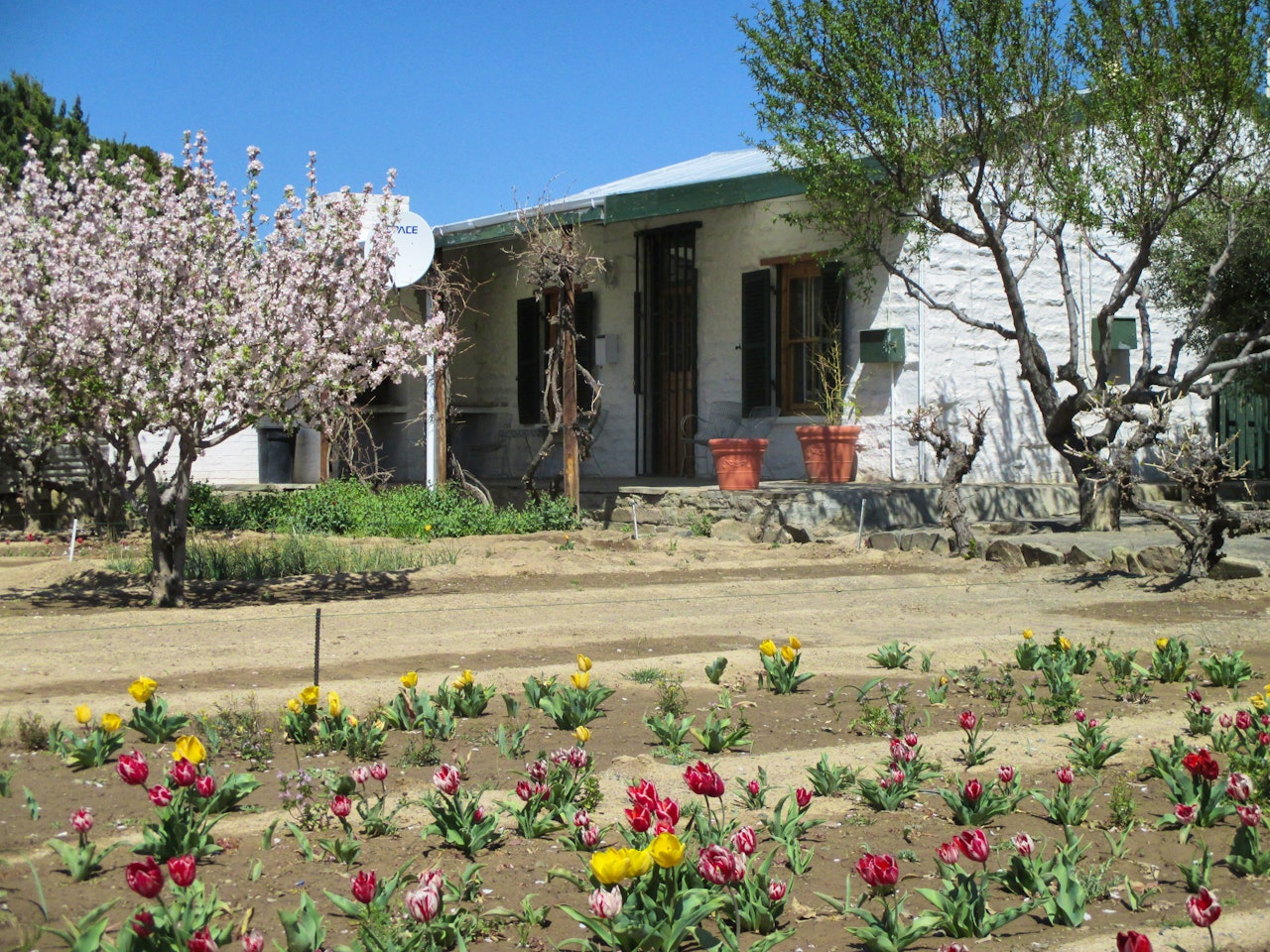 Karoo Accommodation at  | Viya