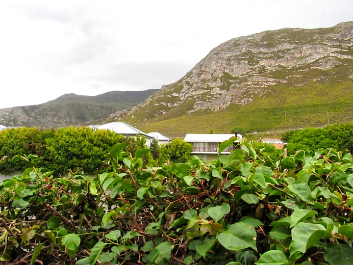 Western Cape Accommodation at Home Grown | Viya