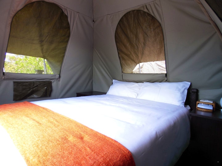 North Coast Accommodation at Budget Tented Village @ Urban Glamping | Viya