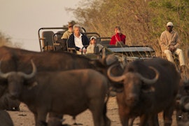 Kruger To Canyons Accommodation at Kambaku Safari Lodge | Viya