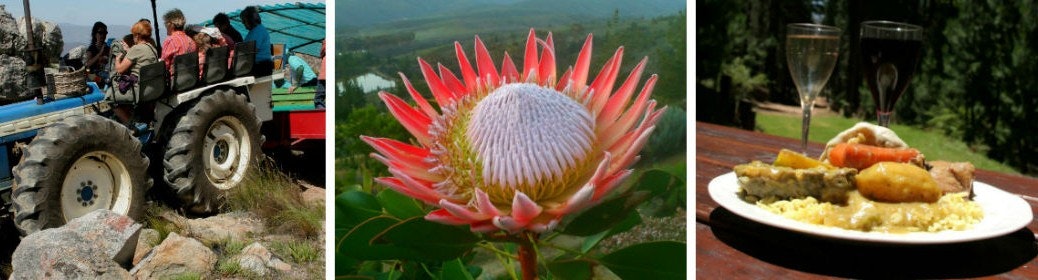 Montagu Tractor Trip at Protea Farm