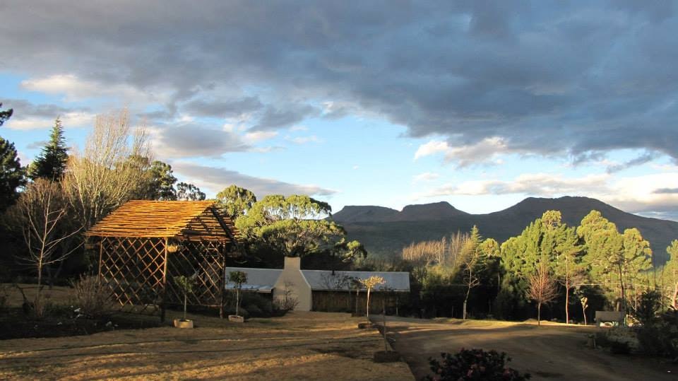 Accommodation Near Hogsback Farmers Market