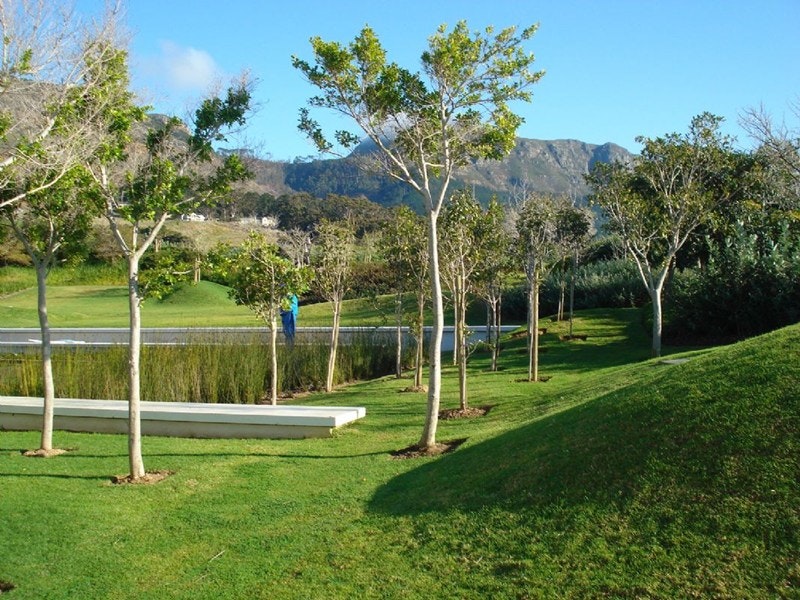 Steenberg Vineyards