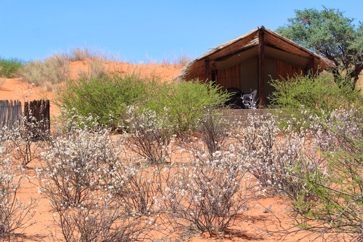 Northern Cape Accommodation at Kalahari Trails Nature Reserve and Meerkat Sanctuary | Viya