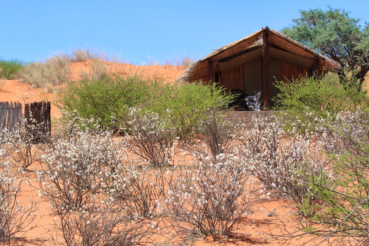 Northern Cape Accommodation at  | Viya