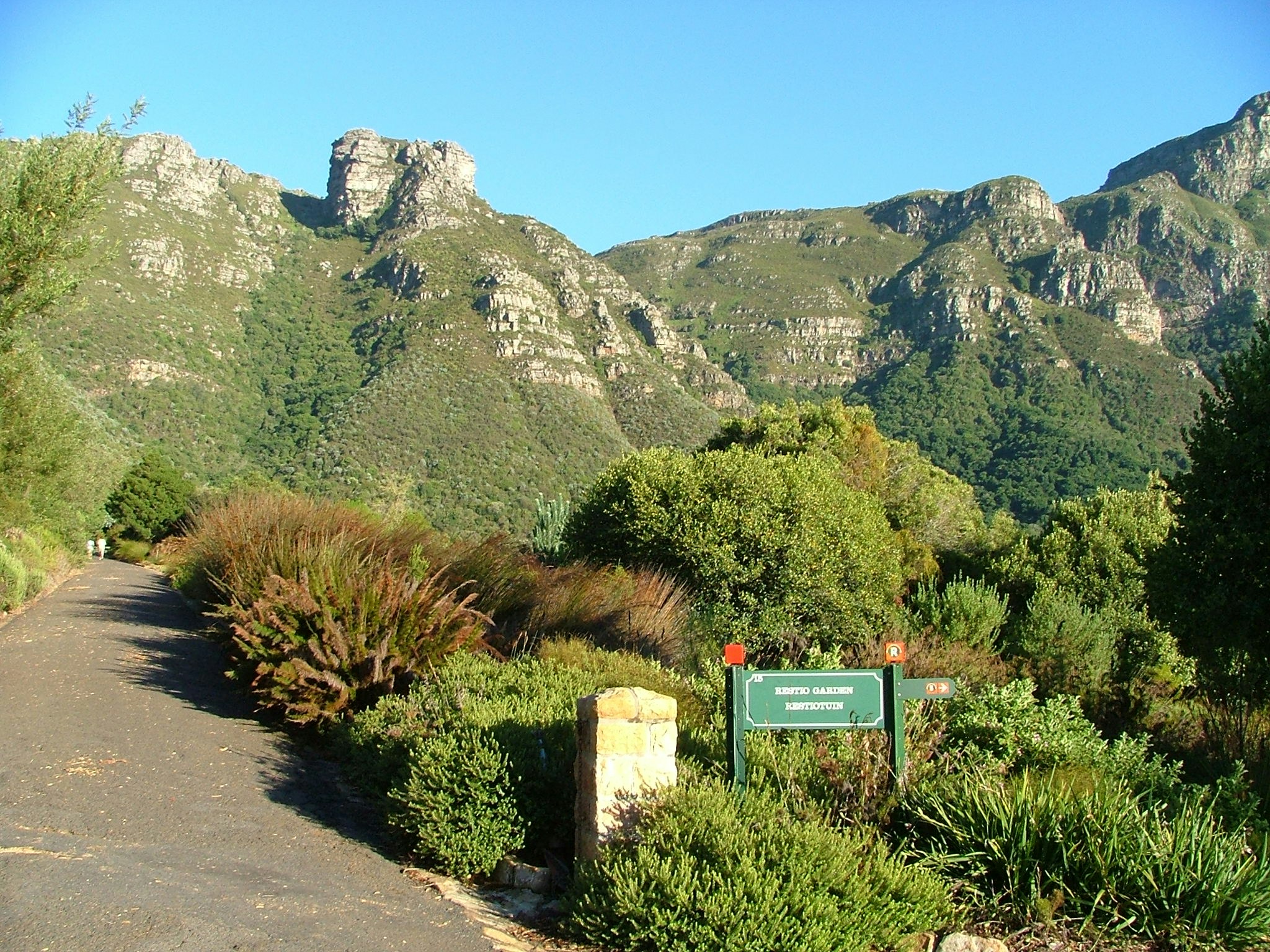 Kirstenbosch National Botanical Gardens