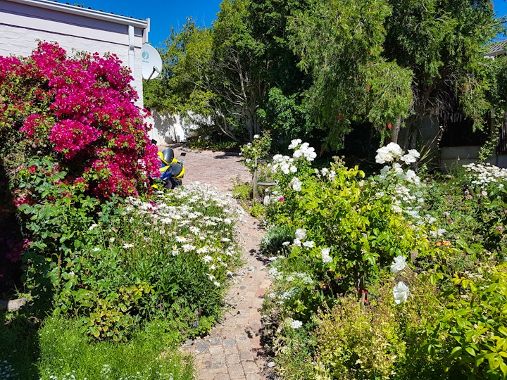 Cape Town Accommodation at Three Oaks B&B | Viya