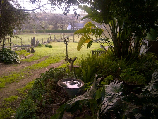 Overberg Accommodation at  | Viya