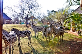 Kruger National Park South Accommodation at Royal Kruger Lodge and Spa | Viya