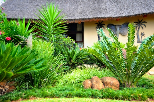 Lowveld Accommodation at  | Viya