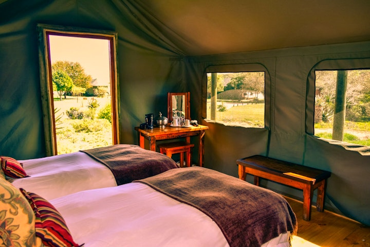 Garden Route Accommodation at Buffelsdrift Game Lodge | Viya