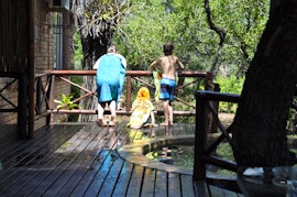 Kruger National Park South Accommodation at Milkwood | Viya