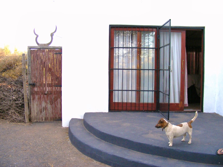 Karoo Accommodation at Olijvenhuis | Viya