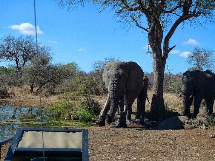 Kruger To Canyons Accommodation at Masodini Private Game Lodge | Viya