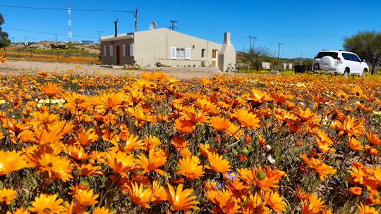 Namaqualand Accommodation at  | Viya