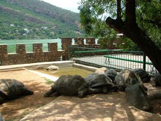 Hartbeespoort Dam Snake And Animal Park