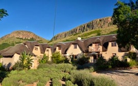 Cradle Of Humankind Accommodation at Steynshoop Mountain Lodge | Viya