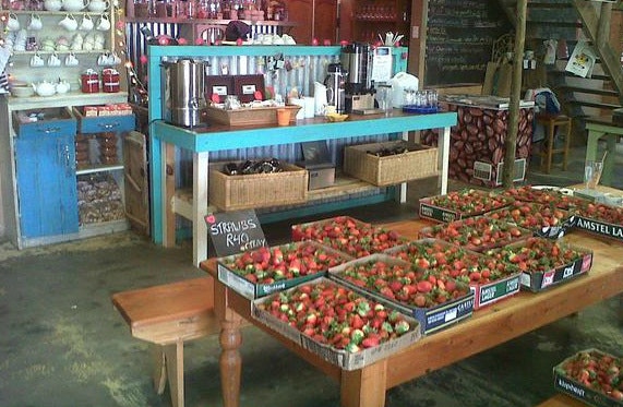 Lavender Blue Market