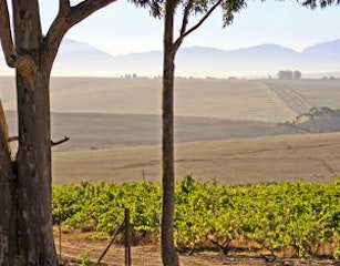 Abbotts Hill Winery