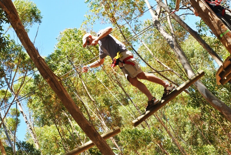 Acrobranch Constantia