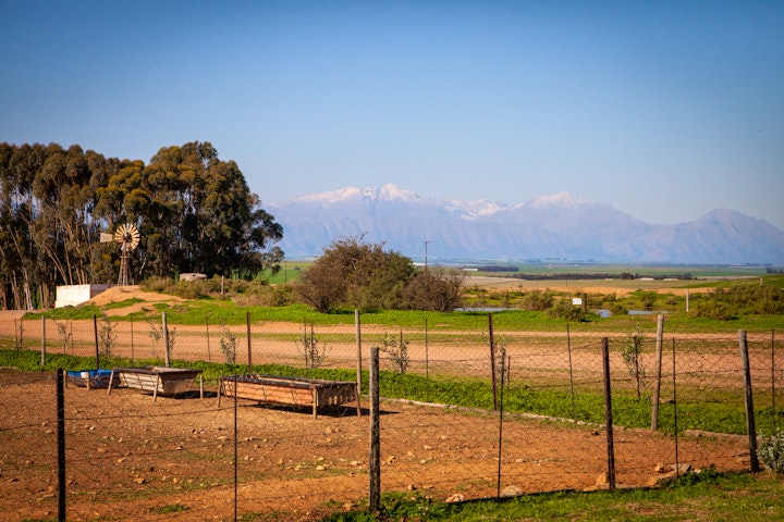 Western Cape Accommodation at Vleidam Guest Farm | Viya