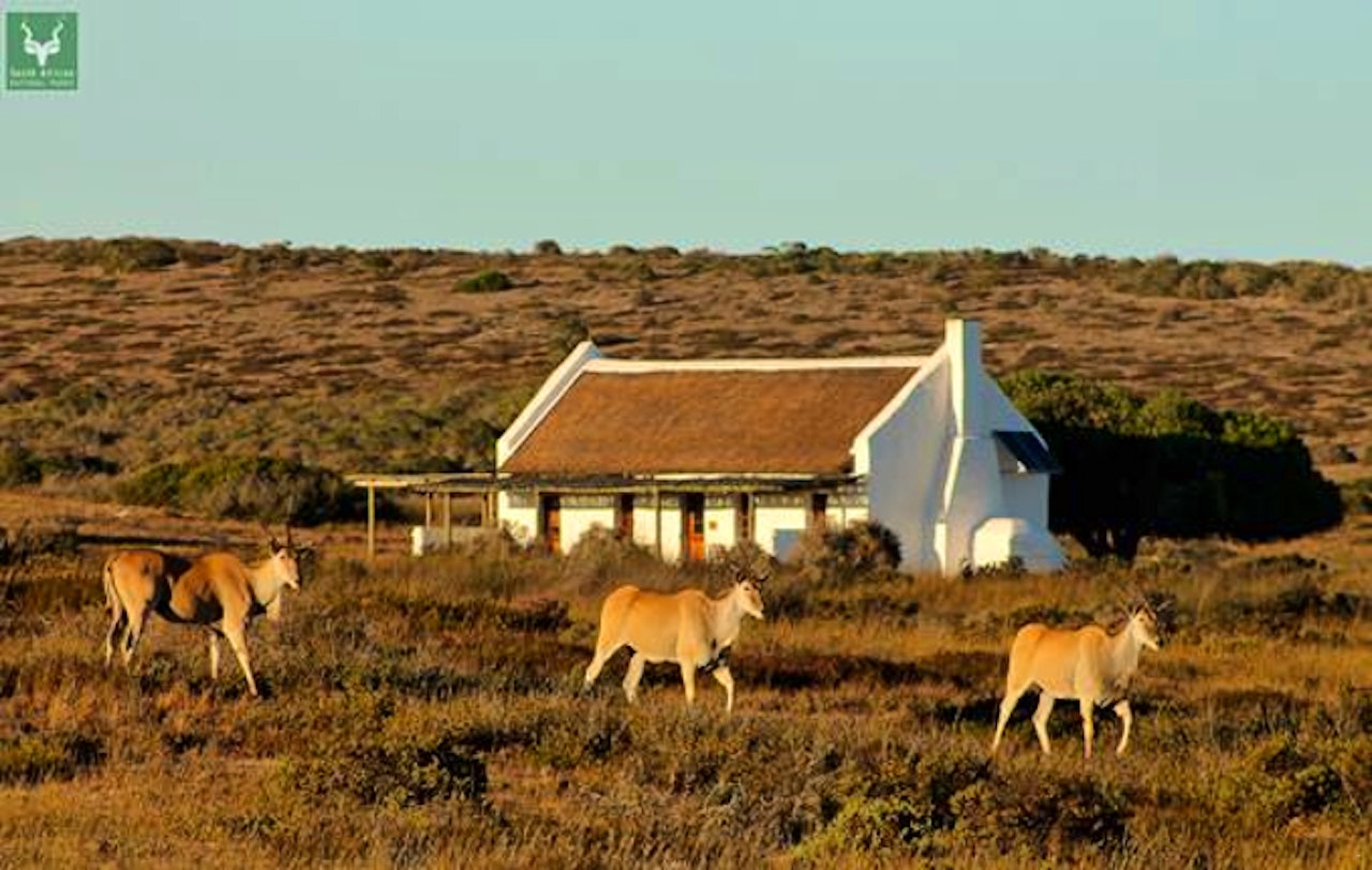 Western Cape Accommodation at  | Viya