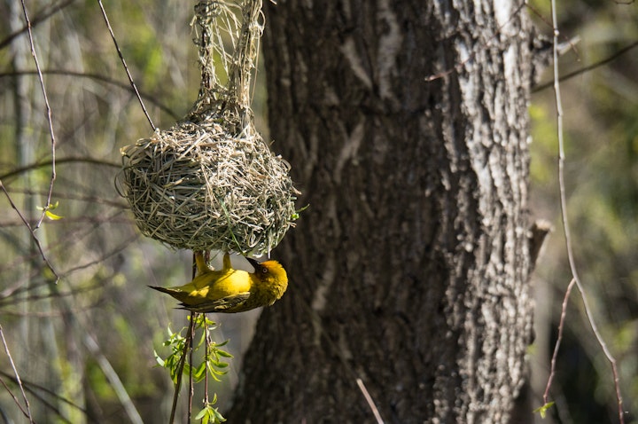 Overberg Accommodation at Aquaelberg Place | Viya