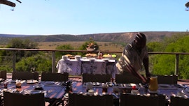 Eastern Cape Accommodation at Amakhala Woodbury Tented Camp | Viya