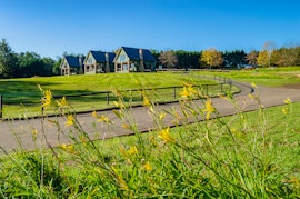 Drakensberg Accommodation at Springholm Cottages | Viya