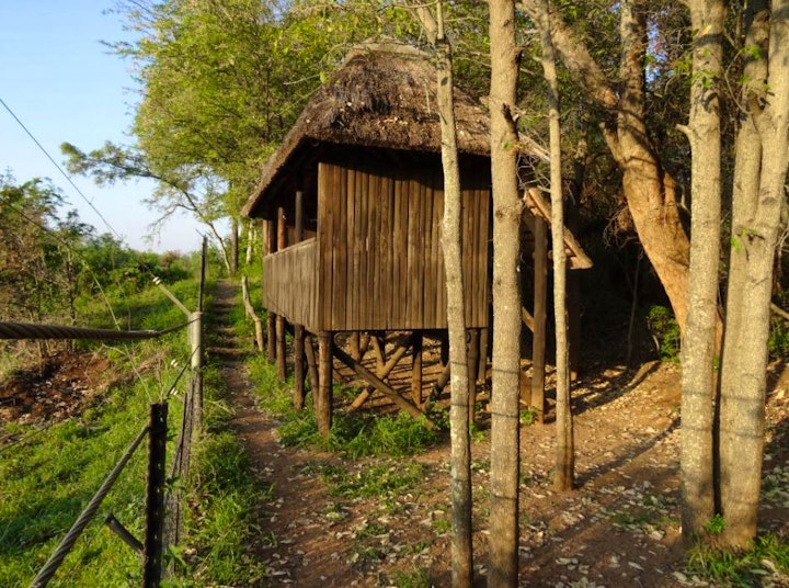 Mpumalanga Accommodation at SANParks Sirheni Bushveld Camp | Viya