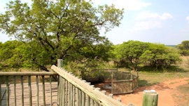 Dinokeng Game Reserve Accommodation at  | Viya